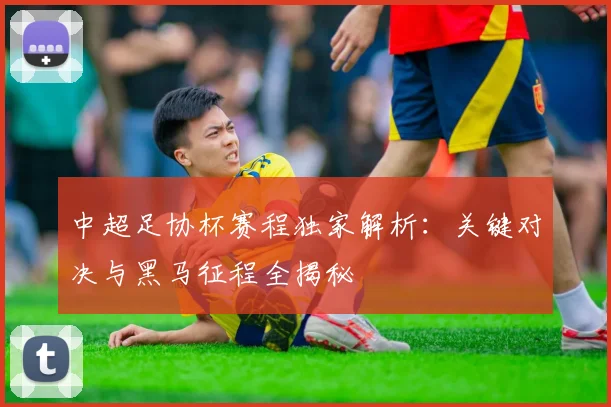 中超足协杯赛程独家解析:关键对决与黑马征程全揭秘